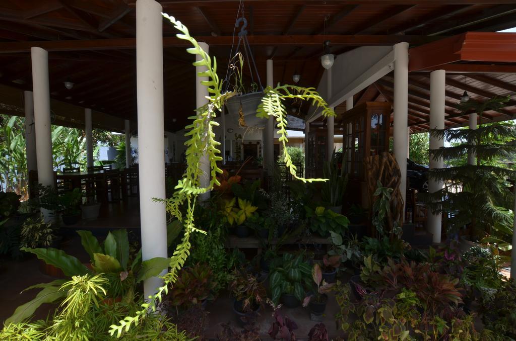 Sihilro Regency Hotel ウダワラウェ エクステリア 写真